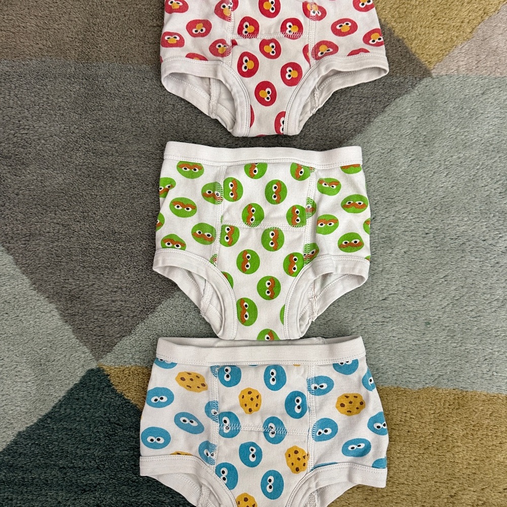 Sesame Street Kids Training Undies